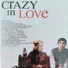 CRAZY IN LOVE DVD (Josh Hartnett & Radha Mitchell) - pikkukuva 1