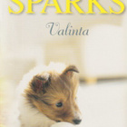 Nicholas Sparks: Valinta - pikkukuva 1