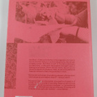 Laura Gustafsson : Bud book : Manual for earthly living - pikkukuva 2