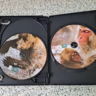BBC Earth Life Elävä Planeetta (4xDVD) - pikkukuva 4