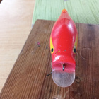 Katti   vaappu  6,5cm Jalokalalle - pikkukuva 3