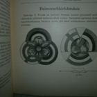 Heimotyö I, vuosikirja 1937 - 1938 - pikkukuva 3