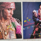 Little Steven Freedom - No Compromise LP - pikkukuva 2
