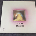Ron Nagle - Bad Rice LP 1970 - pikkukuva 1