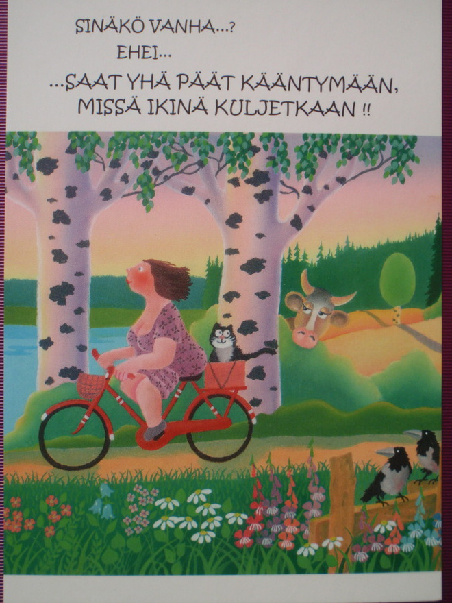 Pertti Ylinen nainen pyöräilee, kissa korissa mukana
