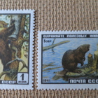 CCCP 1961: villieläimiä - pikkukuva 3
