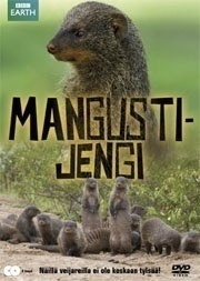 Mangustijengi (BBC) (2 DVD) Luontodokumentti