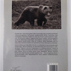 Jorma Luhta : Metson kuolema - pikkukuva 2