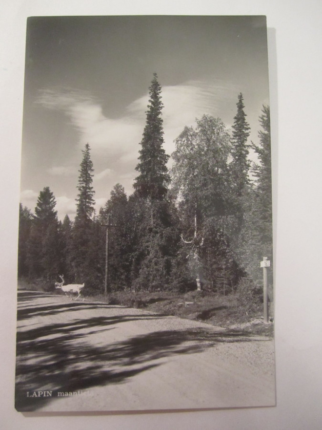 VANHA Postikortti Lappi Kemijärvi 1950-l  Alkup.Mallikappale