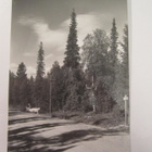 VANHA Postikortti Lappi Kemijärvi 1950-l  Alkup.Mallikappale - pikkukuva 1