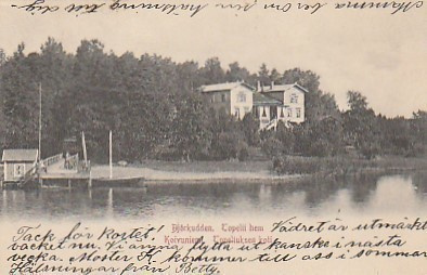 Postikortti,KOIVUNIEMI, Topeliuksen koti, v 1903