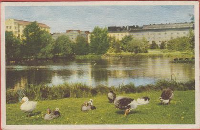Tampere Sorsapuisto