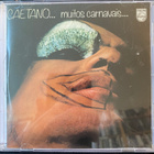 Caetano Veloso: Muitos carnavais HARVINAINEN - pikkukuva 1