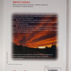 Seppo Jokinen ym. : Metsä vastaa - pikkukuva 2