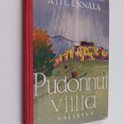 Atte Ennala : Pudonnut viitta : legendoja - pikkukuva 1