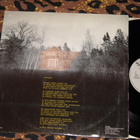 DINGO - Autiotalo - 12" maxi single  1984 EX+ - pikkukuva 2