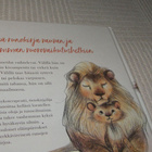 Kallio - Vuorento Välillä olet varpuseni - pikkukuva 5