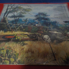 HURRIGANES - STRANDED IN THE JUNGLE M-/EX LP - pikkukuva 2