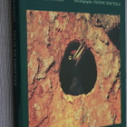 Veikko Huovinen : Tale of the Forest Folk ( 1994 ) - pikkukuva 1