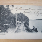 VANHA Postikortti Punkaharju 1904 - pikkukuva 1