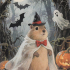 Halloween marsulla kummitusviitta - pikkukuva 1