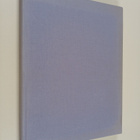 Doretta Klaber : Violets of the United States - pikkukuva 1