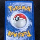 Swampert ex - pikkukuva 2