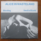 Alice in Wasteland, Wanna Bees, POS 3, God is my co-pilot - pikkukuva 5
