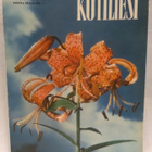 Kotiliesi No 15 elokuu 1953 - pikkukuva 1