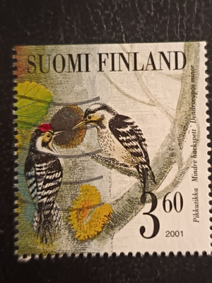 2001 Tikkalintuja