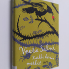 Veera Salmi : Kaikki kevään merkit - pikkukuva 1