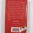 Barbara Michaels : Neitsytvaimo - pikkukuva 2
