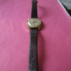 Miesten Rannekello Timex, Automaatti - pikkukuva 1