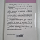Ismail Kadare : Pasardhesi : roman - pikkukuva 2