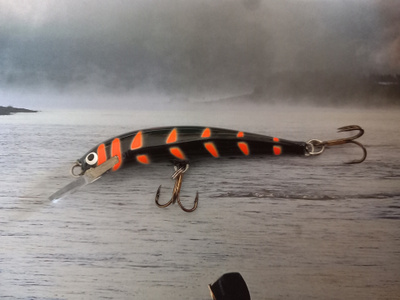 Nils master invincible 8 Spec.