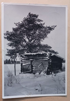 Aitta puun katveessa, vkpk, p. 1952, Tubi-jm, -> Ruotsiin
