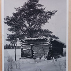 Aitta puun katveessa, vkpk, p. 1952, Tubi-jm, -> Ruotsiin - pikkukuva 1