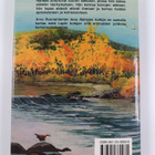 Arvo Ruonaniemi : Kairojen kulkija - pikkukuva 2