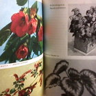 Blomster Bok , 1953, kukkakirja. - pikkukuva 2