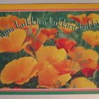 KULKEMATON ANNA KAIKKIEN KUKKIEN KUKKIA - pikkukuva 1