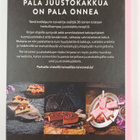 Christin Geweke : Juustokakkuja rakkaudella - pikkukuva 2