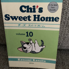 CHI’S SWEET HOME 10 (OMA KOTI KULLAN KALLIS) ENGL. - pikkukuva 1
