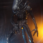 ALIEN 40TH ANN. BIG CHAP FIGURE (58 280) 1:4 scale, n.55cm F - pikkukuva 3