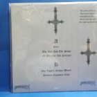 NOCTURNAL TRIUMPH - INTO LIGHT'S GRAVEN WOMB - M-/M- LP - pikkukuva 2