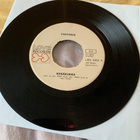 CASTANJA: Kesäkukka * Svengidisco *FIN 1972 - pikkukuva 1
