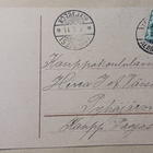 Joutsenia uiskentelemassa rantavedessä, Uusi Vuosi, p. 1910 - pikkukuva 2