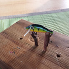 Pikkuvaappu jaloille kaloille 3,5cm 0,9g - pikkukuva 2