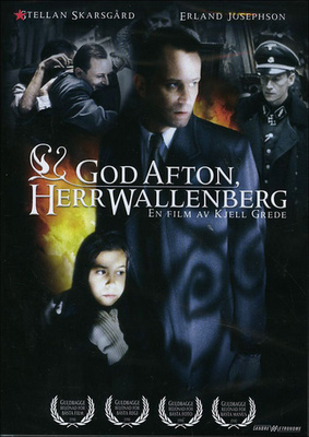 God Afton, Herr Wallenberg - DVD
