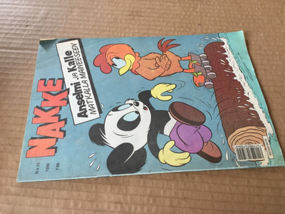NAKKE LEHTI 29/1989 HYVÄ