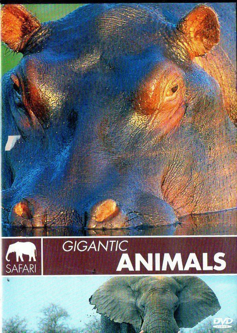 SAFARI GIGANTIC ANIMALS	(19 489)	k	-FI-	DVD